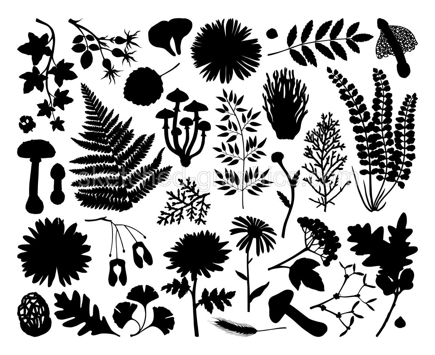 Autumn plant black silhouettes set. hand-drawn vector illustration. Botanical design elements for packaging, wrapping paper, wallpaper, fabric, fashion. Abstract drawings in color. Illustration